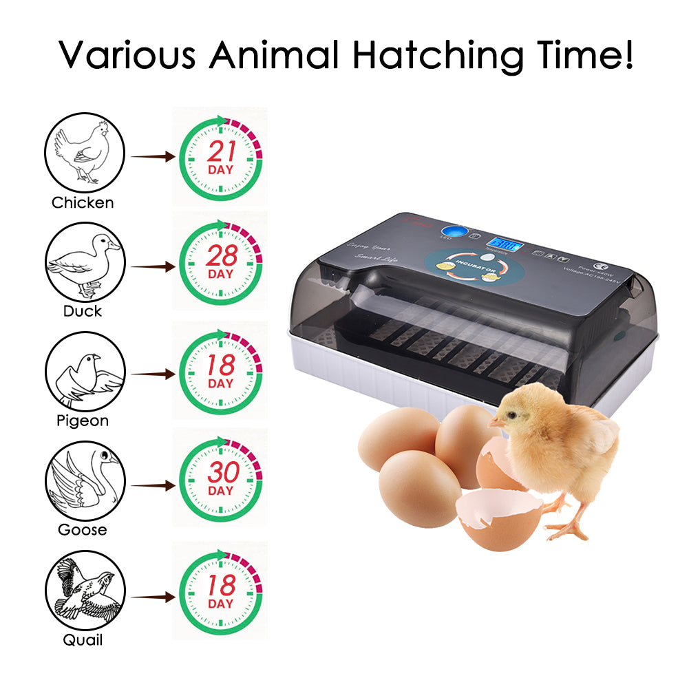 Household Large-Capacity Practical Intelligent Incubator