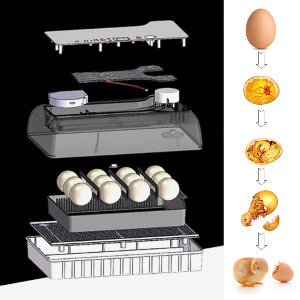 Household Large-Capacity Practical Intelligent Incubator