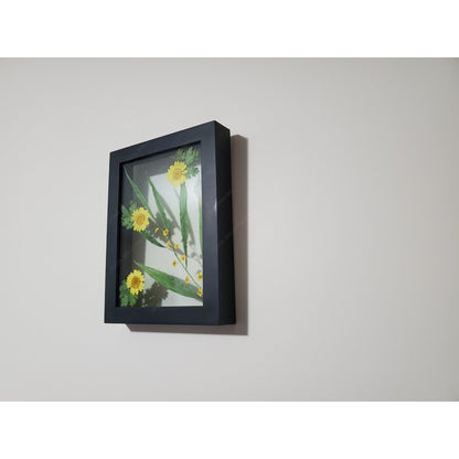 Yellow flower herbarium on frame