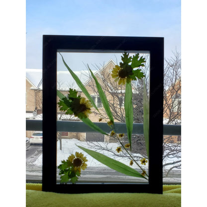 Yellow flower herbarium on frame